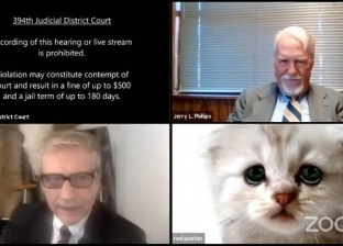 محامي يتحول إلى قطة أثناء جلسة محاكمة أون لاين (فيديو)