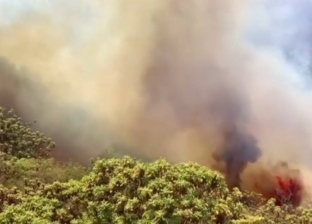 إجلاء أكثر من 50 ألف شخص جراء حرائق الغابات في كاليفورنيا