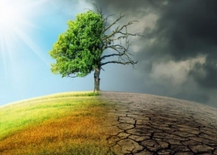 «الشرقاوي»: التغير المناخي يهدد حياة 7,2 مليار نسمة على كوكب الأرض