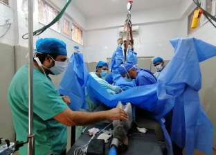 حصان يخضع لأول عملية جراحية في الحبل الشوكي بمصر.. استغرقت 7 ساعات