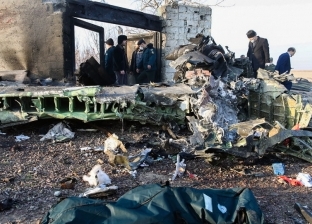 فرنسا تعرب عن استعدادها للمشاركة في تحقيق سقوط الطائرة الأوكرانية
