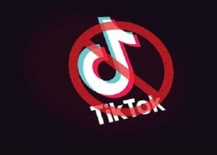 حجز دعوى غلق «تيك توك» للحكم 28 مارس