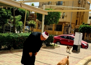 حكاية إمام مسجد يطعم الكلاب الضالة منذ سنوات: «أمم أمثالنا»