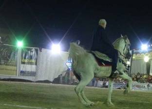 مصر تصدّر 8 خيول عربية للاتحاد الأوروبي بعد 7 سنوات حظر