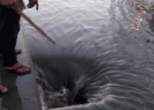 الطقس السيئ يوقف الصيد والملاحة في بوغاز رشيد وإدكو بالبحيرة