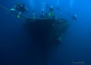 صور| سفينة غارقة بمحمية "رأس محمد" تستقطب هواة الغوص من أنحاء العالم