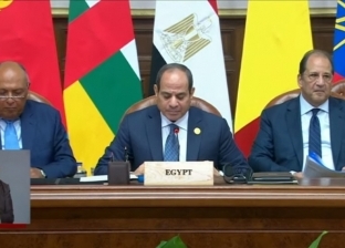 نص كلمة الرئيس عبد الفتاح السيسي خلال الجلسة الافتتاحية لقمة دول الجوار