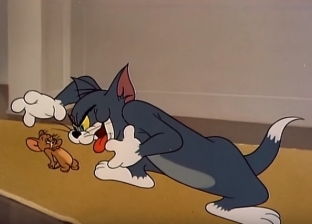 بالفيديو| مطاردة طريفة بين قط وفأر على عكس عادة "توم وجيري"