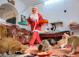 لأول مرة في مصر .. بابا نويل يحتفل داخل ملجأ للقطط ويوزع أكل «سبشيال»