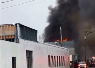 ديك رومي يتسبب في حريق التهم 3 منازل: كان بيتطبخ على النار