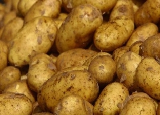 «سلامة الغذاء»: البطاطس تتصدر قائمة الخضروات المصرية المصدرة
