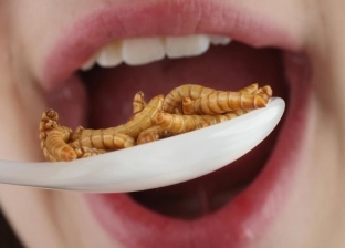 البصل يسبب السعادة وأكل الحشرات مفيد.. أغرب الدراسات حول العالم