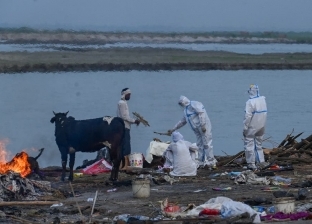   الهند تؤكد صحة تقارير عن التخلص من جثث لضحايا كوفيد-19 في الأنهار