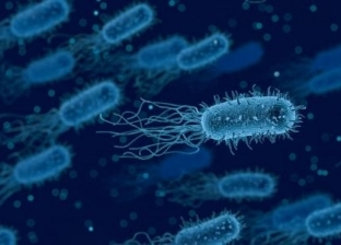 أستاذ مناعة عن استخدام «بكتيريا ميتة» للحد من وفيات كورونا: «قيد التجربة»