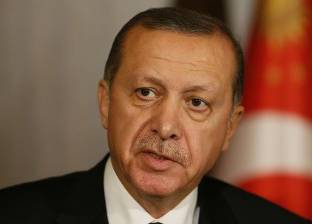 نائب تركي معارض: أردوغان "نمر" في إسطنبول و"قط" في لندن