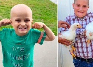 طفل يبيع دجاجتين بـ12 ألف دولار لعلاج شقيقه الأصغر من السرطان.. ما القصة؟