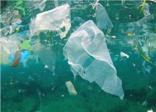 لمنع خطر كارثي.. «أمازون» تتخذ إجراءات للحد من استخدام البلاستيك