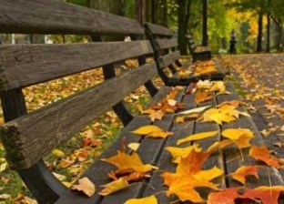 «الأرصاد» تحذر من ارتداء الملابس الثقيلة: الخريف أروع فصل في العام