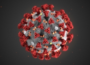 هل توجد عدة سلالات من كورونا في مصر؟.. أطباء يجيبون