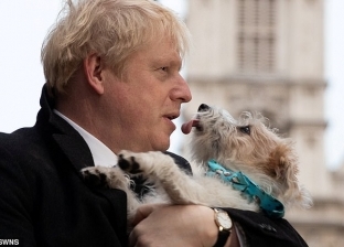 علامات تدل على إصابة كلب رئيس وزراء بريطانيا بفيروس كورونا