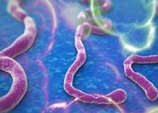 إدارة الدواء الأمريكية توافق على اعتماد لقاح للوقاية من الإيبولا