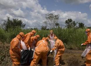 «الصحة العالمية» تبرئ الحيوانات من تفشي فيروس إيبولا في غينيا