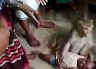 بالفيديو| قرد يحاول اختطاف طفل صغير من أمه والهروب به