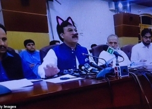 صور محرجة.. مسؤول باكستاني يظهر بـ"فلتر وجه القطط" خلال بث صحفي مباشر