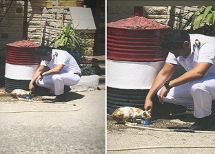 ضابط شرطة يطعم قطة: «كانت جعانة».. وإشادة من رواد الفيس بوك