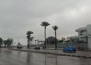 خلال موجة الطقس السيئ.. محافظ الإسكندرية ونائبته يتفقدان إزالة آثار الأمطار