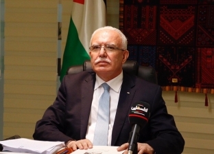 وزير خارجية فلسطين: السلام لن يتحقق بمحو غزة أو تقليص مساحتها