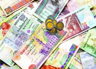 أسعار العملات اليوم الثلاثاء 29-6-2021 في البنوك المصرية