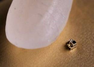 بحجم حبة الأرز.. تعرف على أصغر كمبيوتر في العالم