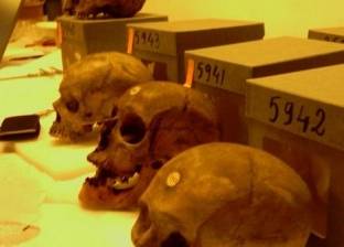 اكتشاف 536 جمجمة جزائرية في فرنسا