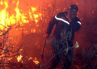 بعد كارثة الجزائر.. كيف يتم إطفاء حرائق الغابات؟