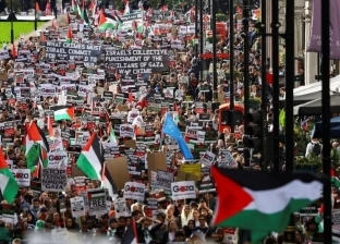آلاف الأردنيين يشاركون في وقفات ومسيرات لدعم فلسطين