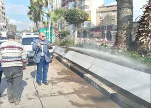 "بيرش مية".. رئيس سمنود يشارك في تجميل الشوارع والحدائق