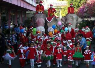 أفيال ترتدي زي بابا نويل في مدرسة تايلاندية