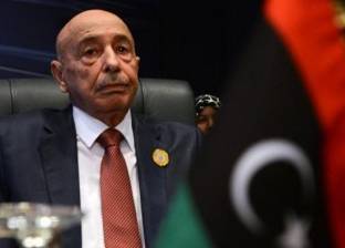 رئيس "النواب الليبي" يبحث المستجدات السياسية مع السفير البريطاني