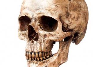 علماء يكتشفون ضحية لتسونامي عمرها 6 آلاف عام