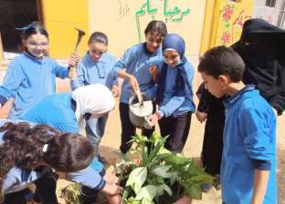 طلاب مدارس كفر الشيخ يشاركون في زراعة الأشجار المثمرة: «هنتحضر للأخضر»
