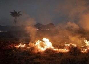 غابات حوض الكونغو تحترق.. ماذا يحدث في رئة الأرض الثانية؟