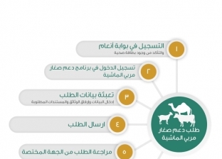 خطوات ورابط التسجيل في منصة أنعام لدعم المواشي وشروط التقديم بالسعودية