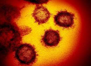 11 عرضا جديدا.. مراحل تطور فيروس كورونا منذ ظهوره