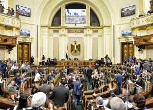 رأس «توت عنخ آمون» أمام البرلمان.. ونواب يطالبون الحكومة باللجوء إلى «اليونيسكو»