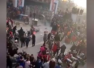 بالفيديو| نمر غاضب يهرب من القفص ويثير الذعر بين المتفرجين في الصين