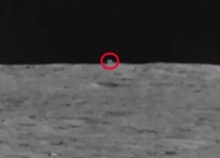 جسم غريب يشبه الأرنب على سطح القمر.. أثار حيرة العلماء لأسابيع