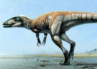 باحثة بـ"جامعة المنصورة" تكشف تفاصيل جديدة عن "الديناصور المصري"