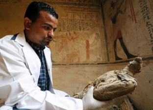 حمض نووي عمره 2500 عام يفك لغزا فرعونيا حير العلماء