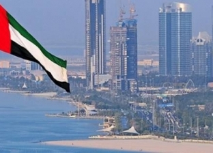 دبي تنفي ادعاءات فنان أمريكي متهم بالتحرش حول عزمه لقاء الأسرة الحاكمة